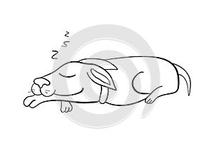 Dog sleeping. Home comfort. Vector illustration