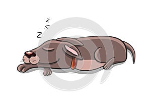 Dog sleeping. Home comfort. Vector illustration