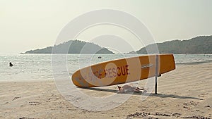 Dog sleeping under surf rescue surfboard