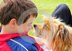 Dog sniffing the boys face photo