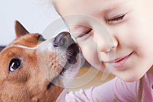 A dog sniffs a little girl`s face