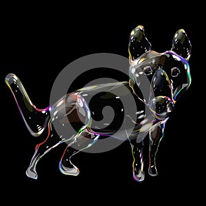 dog soap bubble light shimmering fun