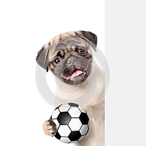 Dog with soccer ball peeking from behind empty board. Isolated on white background