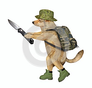 Dog soldier holds a jackknife