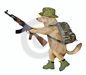 Dog soldier holds machine gun