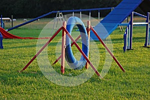 Dog sport agility tyre equipment in a field