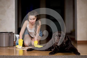 The dog stained the floor, the owner of the dog launders the floor