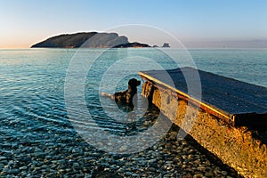 Dog standing in blue sea water near peir.Sunrise seascape with island and dog in water. photo