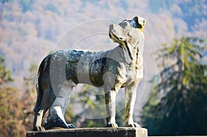 Dog statue at Peles castle