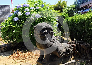 Dog statue at Wakamatsu Park