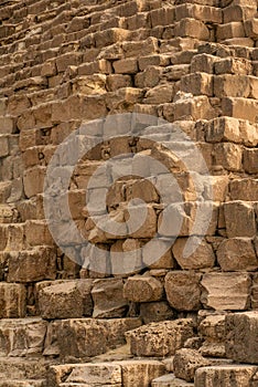 A dog staying on a block of stone on a side of the great pyramid of giza