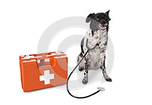 Dog With Stethoscope And First Aid Kit