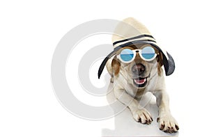 DOG SUMMER. LABRADOR PUPPY DRESSED WITH SUNGLASSES AND HAT, READY FOR BEACH. ISOLATED SHOT AGAINST WHITE BACKGROUND