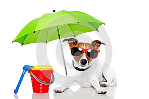 Dog sunbathing with umbrella photo