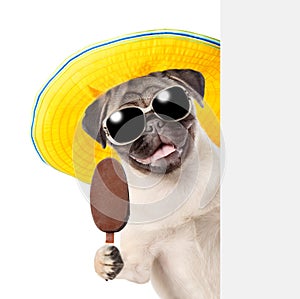 Dog in sunglasses and hat holding ice cream and peeking from behind empty board. isolated on white background