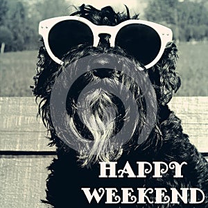 Dog in sunglasses with text: Happy weekend