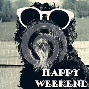 Dog in sunglasses with text: Happy weekend photo