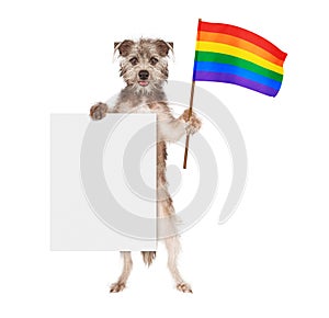 Dog Supporting Gay Rights With Blank Sign