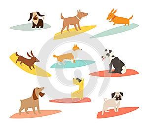 Dog surfers set, vector cartoon illustrations