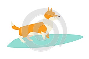 Dog surfers, vector cartoon illustration