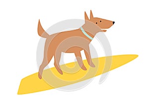 Dog surfers, vector cartoon illustrations