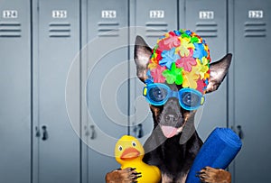 Dog swim cap and goggles in locker room
