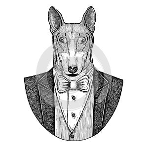 DOG for t-shirt design Hipster animal Hand drawn illustration for tattoo, emblem, badge, logo, patch, t-shirt