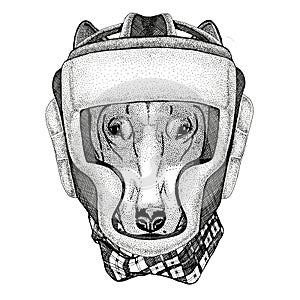 DOG for t-shirt design Wild boxer Boxing animal Sport fitness illutration Wild animal wearing boxer helmet Boxing