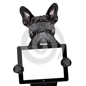 Dog with tablet pc