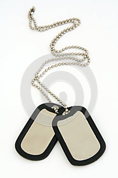 Dog tags photo