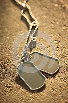 Dog tags background