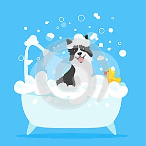 Dog taking a bath