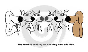 Dog team applauds a member