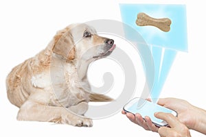 Dog and technology concept