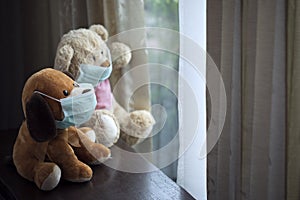 dog and teddy bear with medial mask on its face