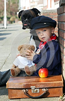 Dog, teddy and boy