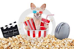 Dog to the movies