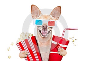 Dog to the movies