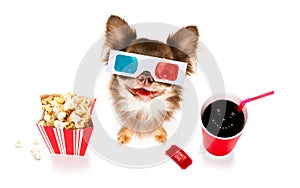 Dog to the movies