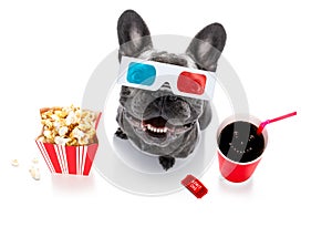 Dog to the movies