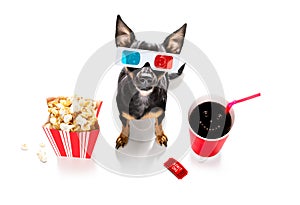 Dog to the movies