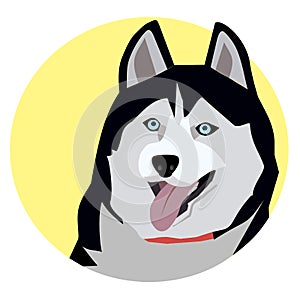 Dog with tongue sticking out, husky label for advertising, pet, sled dog for sled racing, human four-legged friend, purebred dog b