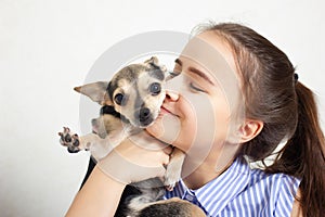 Dog toy terrier hugs and kisses the mistress