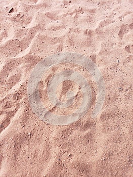 Dog track in red dirt from hiking