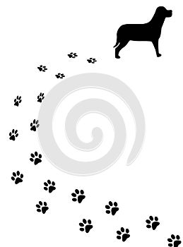 Dog and tracks
