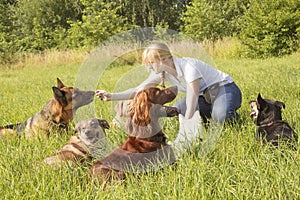 Dog trainer feeding dog