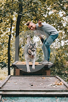 dog trainer with jumping husky
