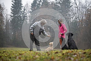 Dog trainer teaching a senior man to train his dog obedience