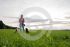 Dog trainer training obedience with her two dogs