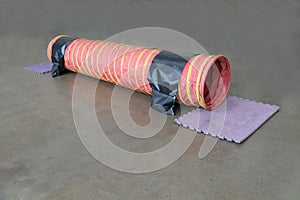 Dog Training Agility Course.